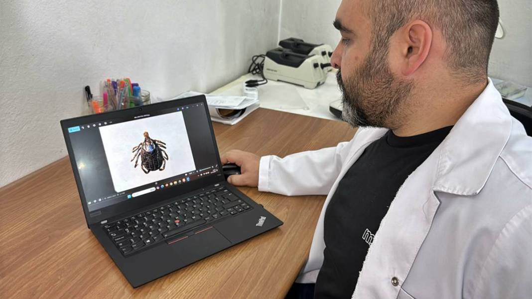 Bu mevsimde kamp yapanlar şimdi yandı: Sayısı hızla artıyor! Uzman isim uyardı, bunun şakası yok 13